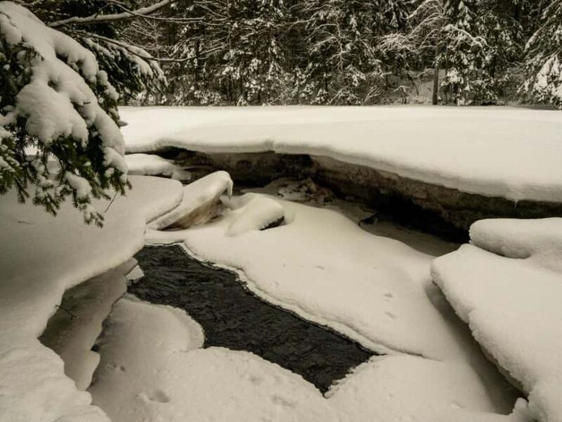 Oulu: Guided Winter Day Trip to Sanginjoki Nature Reserve - Who Should Consider This Tour?