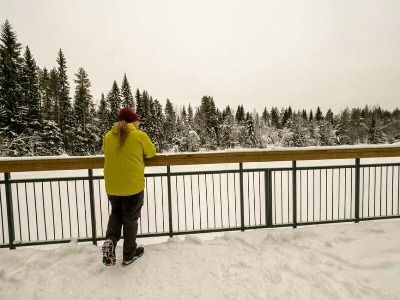 Oulu: Guided Winter Day Trip to Sanginjoki Nature Reserve - The Sum Up