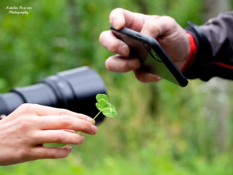 Oulu: Hietasaari Family Nature Walk with Picnic - A Closer Look at the Hietasaari Family Nature Walk
