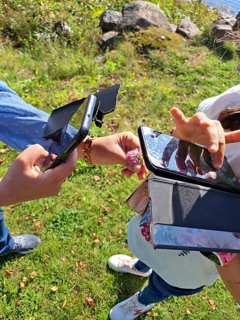 Oulu: Hietasaari Family Nature Walk with Picnic - Who Should Consider This Tour?