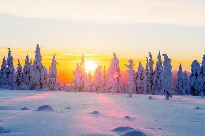 Ounasvaara and Ranua Zoo - Discovering Lapland’s Wildlife