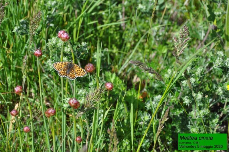 OUR FANTASTIC NATIONAL PARK! - What to Expect from the Tour