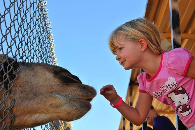 Out of Africa Wildlife Park Admission Ticket - Final Thoughts