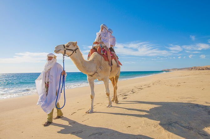 Outback Camel Ride - FAQs About the Outback Camel Ride