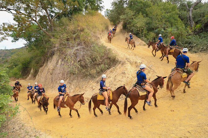Outdoor Ziplining, Waterfalls & Speed boat in Puerto Vallarta - Who Will Love This Tour?