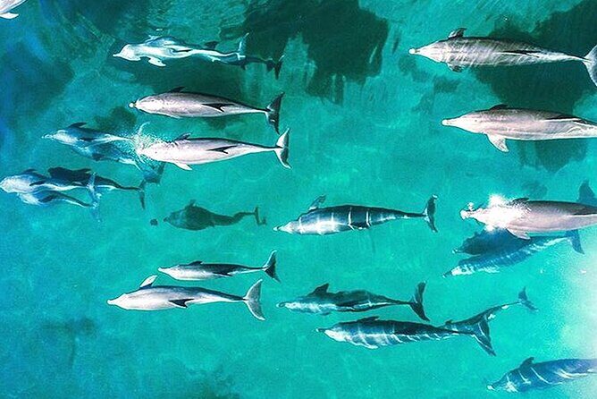 Outer Reef Odyssey - 40 minute Reef Scenic Flight - Exploring the Outer Reef Odyssey: A 40-Minute Scenic Flight Over the Great Barrier Reef