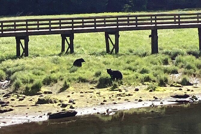 OVER THE TOP TOURS city highlights, wildlife and more! - An Overview of the Experience