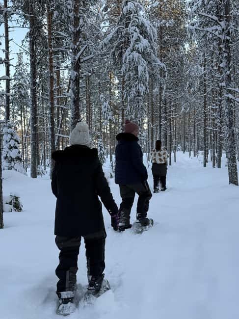Överkalix - Lapland : Full-Day Snowshoe Tour with Lunch - The Sum Up