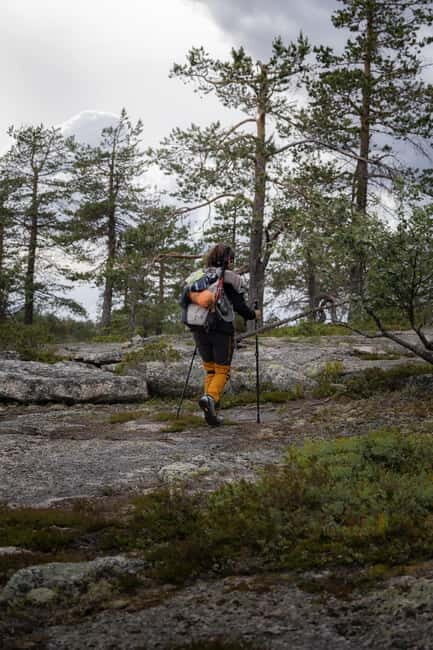 Överkalix - Lapland : Private Summer Hike with Lunch - The Practical Side: What’s Included and What’s Not