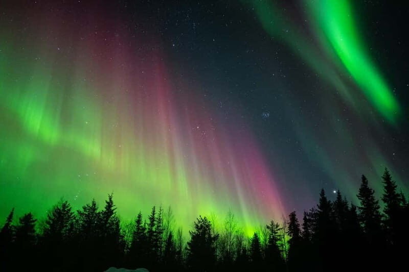 Överkalix - Lapland : Snowmobile Tour with Northern Lights - Key Points