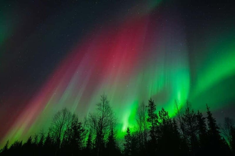 Överkalix - Lapland : Snowmobile Tour with Northern Lights - What to Expect from This Snowmobile Experience