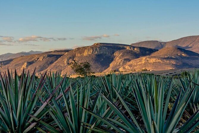 Overnight 2-Day Experience in Beautiful Oaxaca - The Sum Up