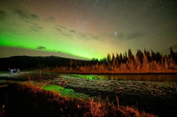 Overnight Denali National Park plus Aurora Chase Tour - An In-Depth Look at the Tour
