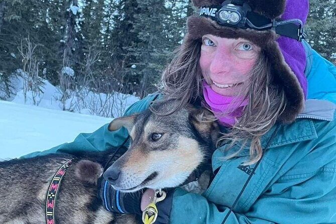 Overnight Dog Sledding Adventure - The Next Morning: Mushing Home with Dawn Breaks