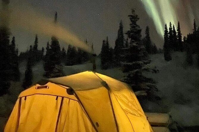 Overnight Dog Sledding Adventure - What’s Included and What You Should Know