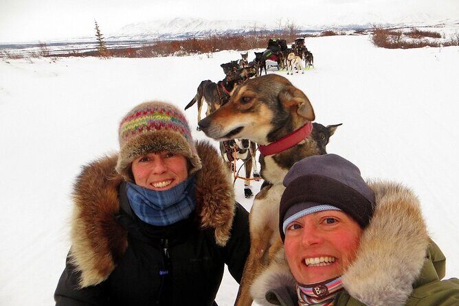 Overnight Dog Sledding Adventure - Why This Tour Is Truly Special