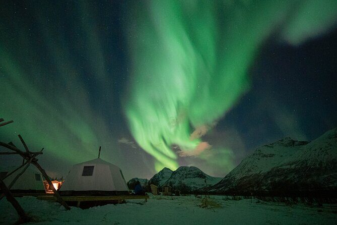 Overnight Stay in Lavvu and Reindeer Feeding - The Experience in Detail: What You Can Expect