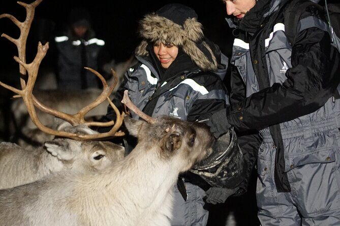 Overnight Stay in Lavvu and Reindeer Feeding - Practical Tips for Travelers