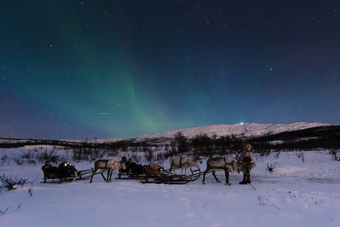 Overnight Stay with Reindeer Sledding & Feeding - The Itinerary in Detail