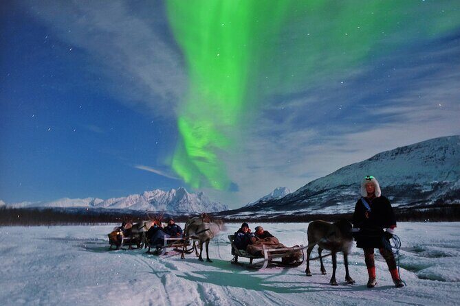 Overnight Stay with Reindeer Sledding & Feeding - Final Thoughts: Who Is This Tour Best For?
