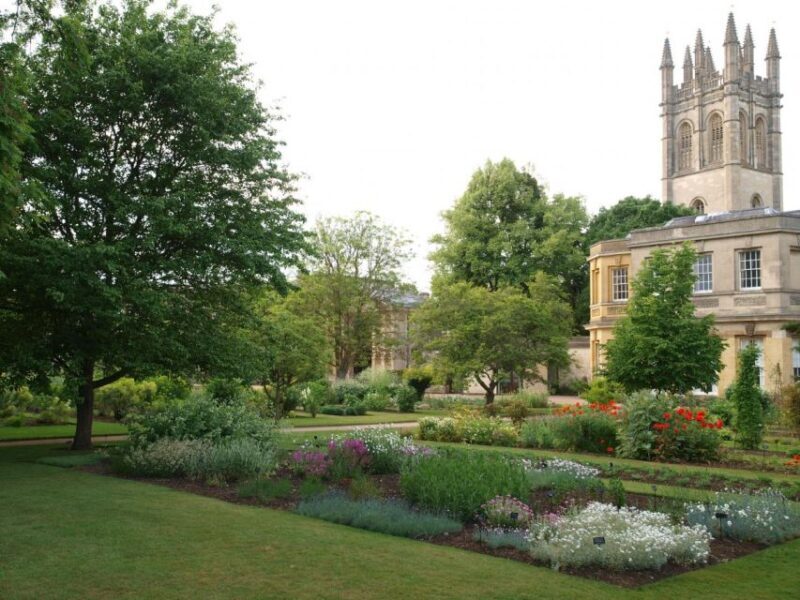 Oxford 3-Hour Private Walking Tour - What to Expect from the Tour