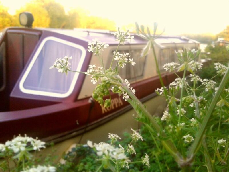 Oxford: River Cruise and Walking Tour to Iffley Village - Final Thoughts