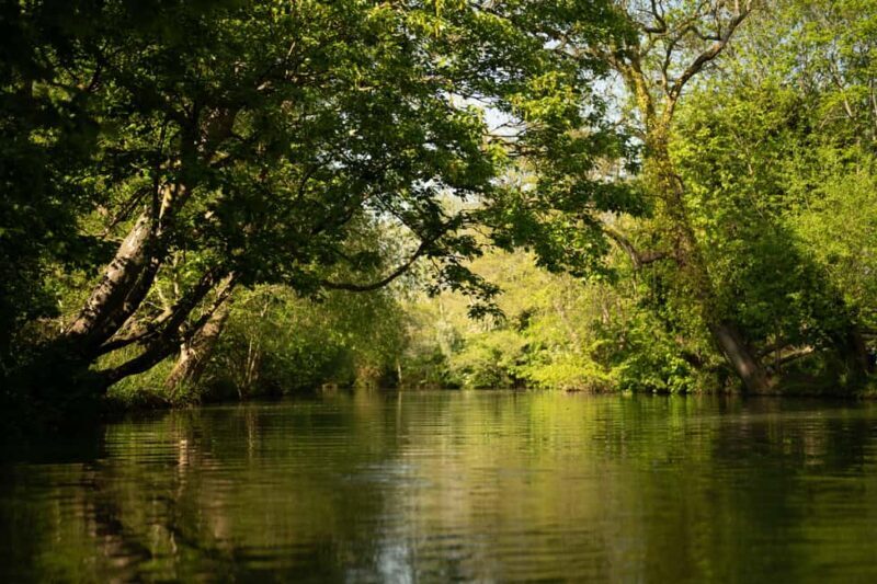 Oxford: University Private Punting Tour on River Cherwell - Is This Tour Worth It?