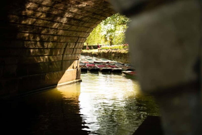 Oxford University Walk & Punt Tour by Alumni & New College - Who Will Love This Tour?