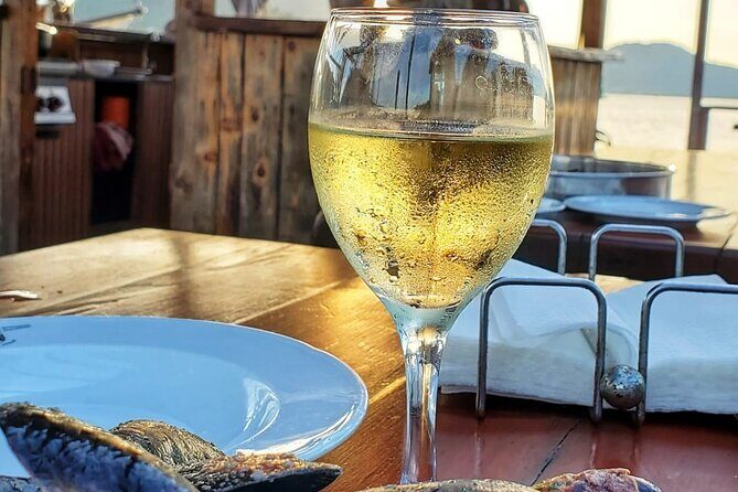 Oyster farm experience private day trip from Dubrovnik - Who Should Consider This Tour?