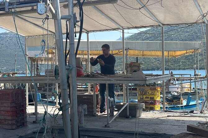 Oyster Farm, Ston and Winery Tour - The Sum Up