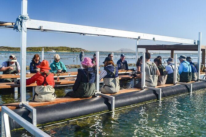 Oyster Farm Tour with Hotel Pick-up and return from Port Lincoln - Key Points