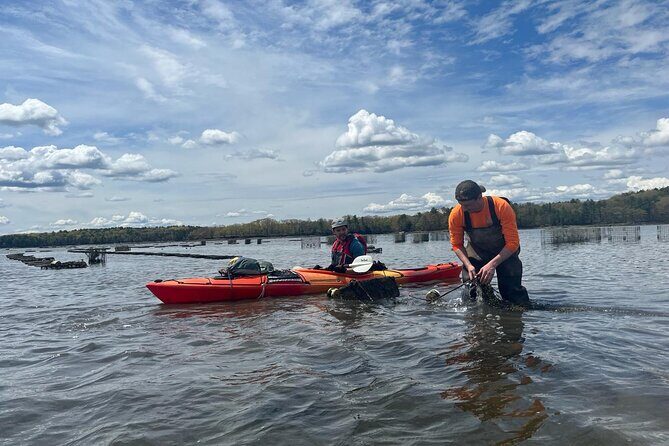 Oyster Tasting and Kayak Tour - Key Points