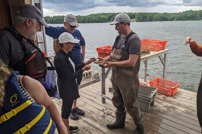 Oyster Tasting and Kayak Tour - What’s Included and What to Expect