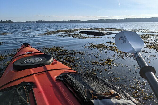 Oyster Tasting and Kayak Tour - FAQs