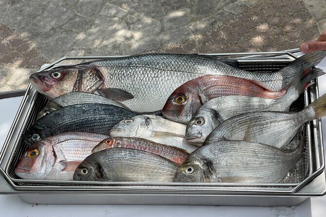 Oysters testing private tour to Ston - Pricing and Value