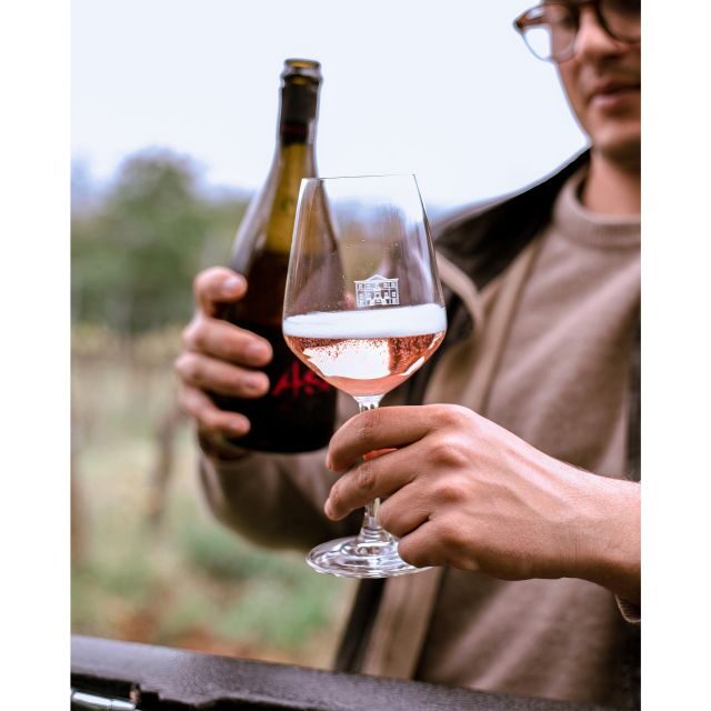 Ozzano Emilia: Guided Cellar Walking Tour with Wine Tasting - Discover the Charm of a Guided Cellar Walking Tour in Ozzano Emilia