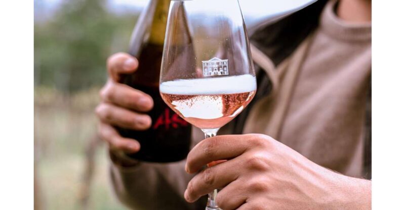 Ozzano Emilia: Guided Cellar Walking Tour with Wine Tasting - Key Points