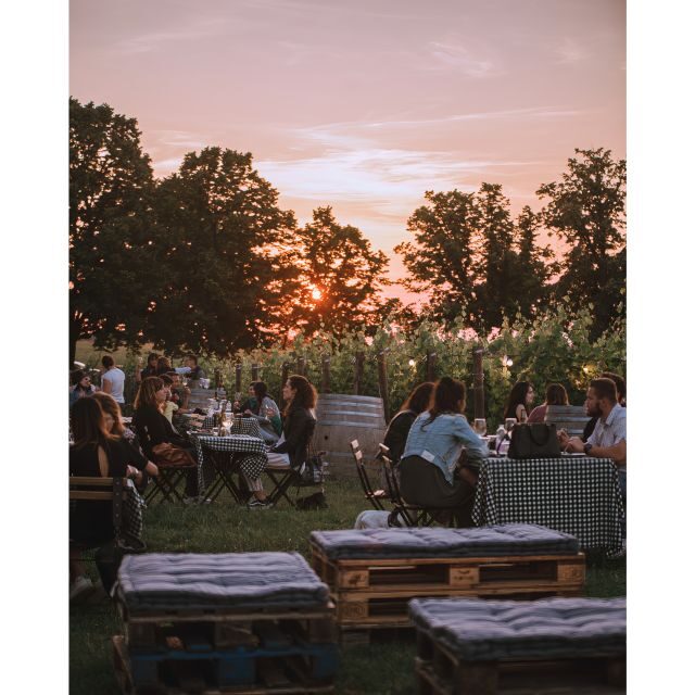 Ozzano Emilia: Guided Cellar Walking Tour with Wine Tasting - FAQs