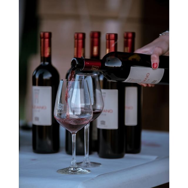 Ozzano Emilia: Guided Cellar Walking Tour with Wine Tasting - Final Thoughts