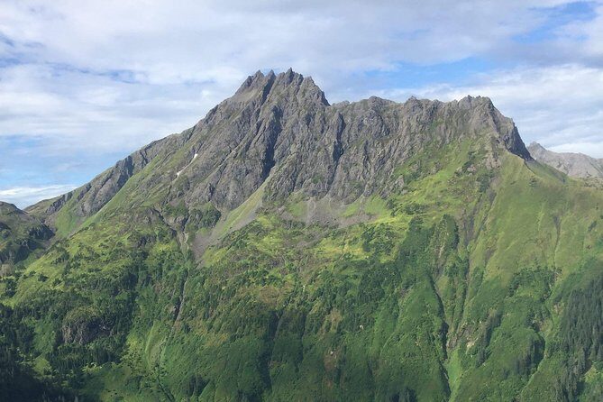 Pack Creek Brown Bear Viewing Juneau - The Itinerary and What It Means for You