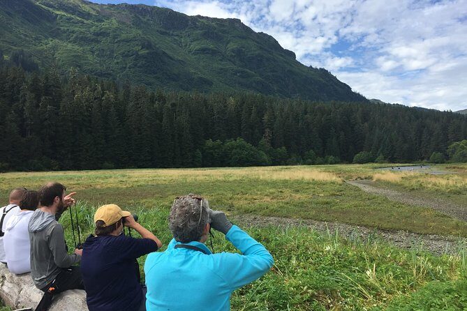 Pack Creek Brown Bear Viewing Juneau - Who Will Love This Tour?