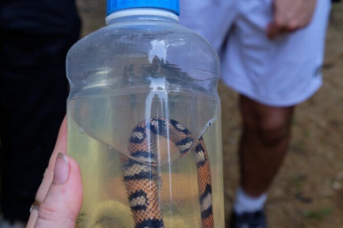 Paddle Board Adventure in a Tropical Paradise - Who Should Consider This Tour?