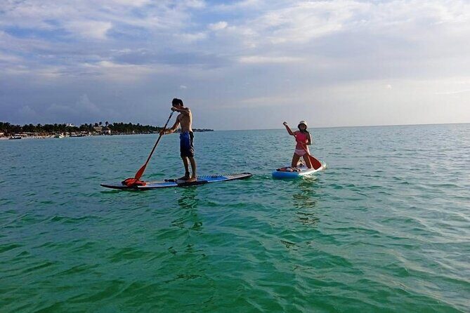 Paddle Board Classes in Holbox with Pick up - What to Expect from the Paddle Board Classes in Holbox