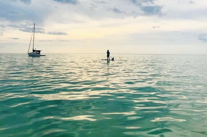 Paddle Board Classes in Holbox with Pick up - FAQ