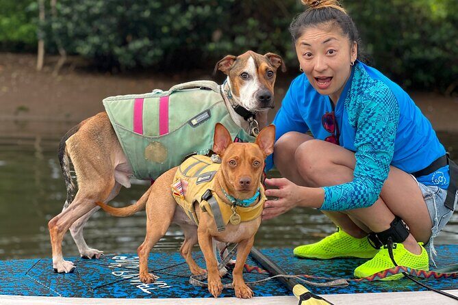 Paddle Board Hale'iwa with Rescue Dogs - The Value of This Experience