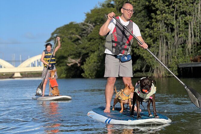 Paddle Board Hale'iwa with Rescue Dogs - Final Thoughts