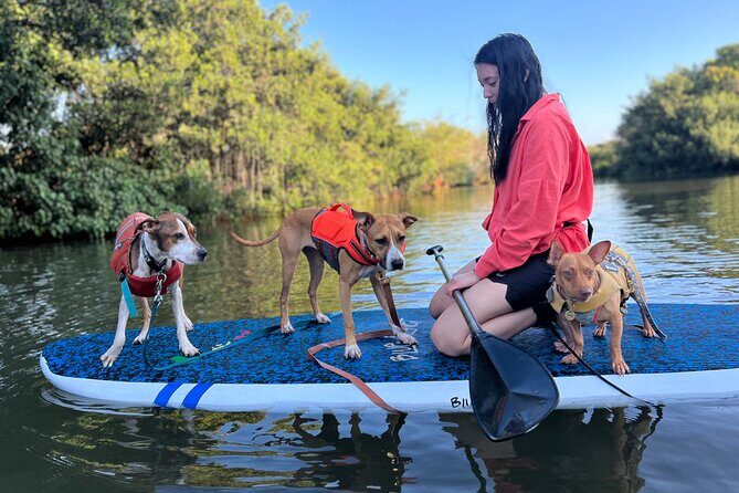 Paddle Board Hale'iwa with Rescue Dogs - FAQ