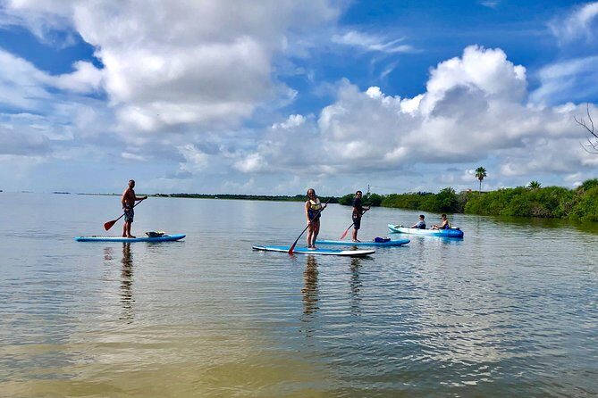 Paddle Board or Kayak Eco Dolphin Manatee Tour - The Real Experience: What Do Travelers Say?