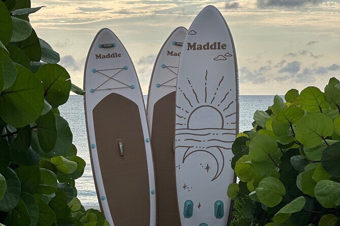 Paddle Board Picnic Peanut Island Palm Beach Singer Island - An In-Depth Look at the Paddle Board Picnic Experience