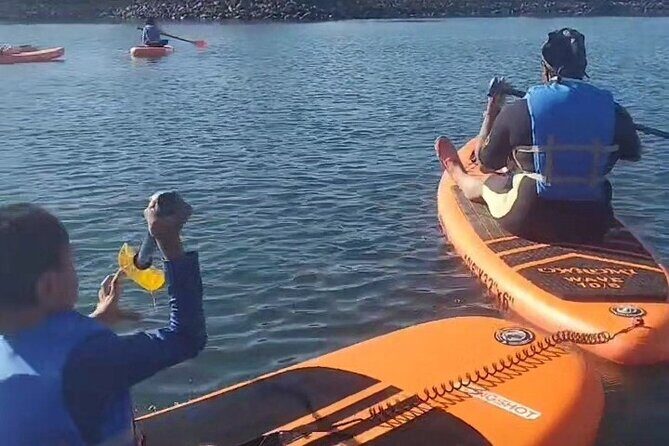 Paddle Board Picnics Lessons Rentals and Outdoor Adventures - Key Points